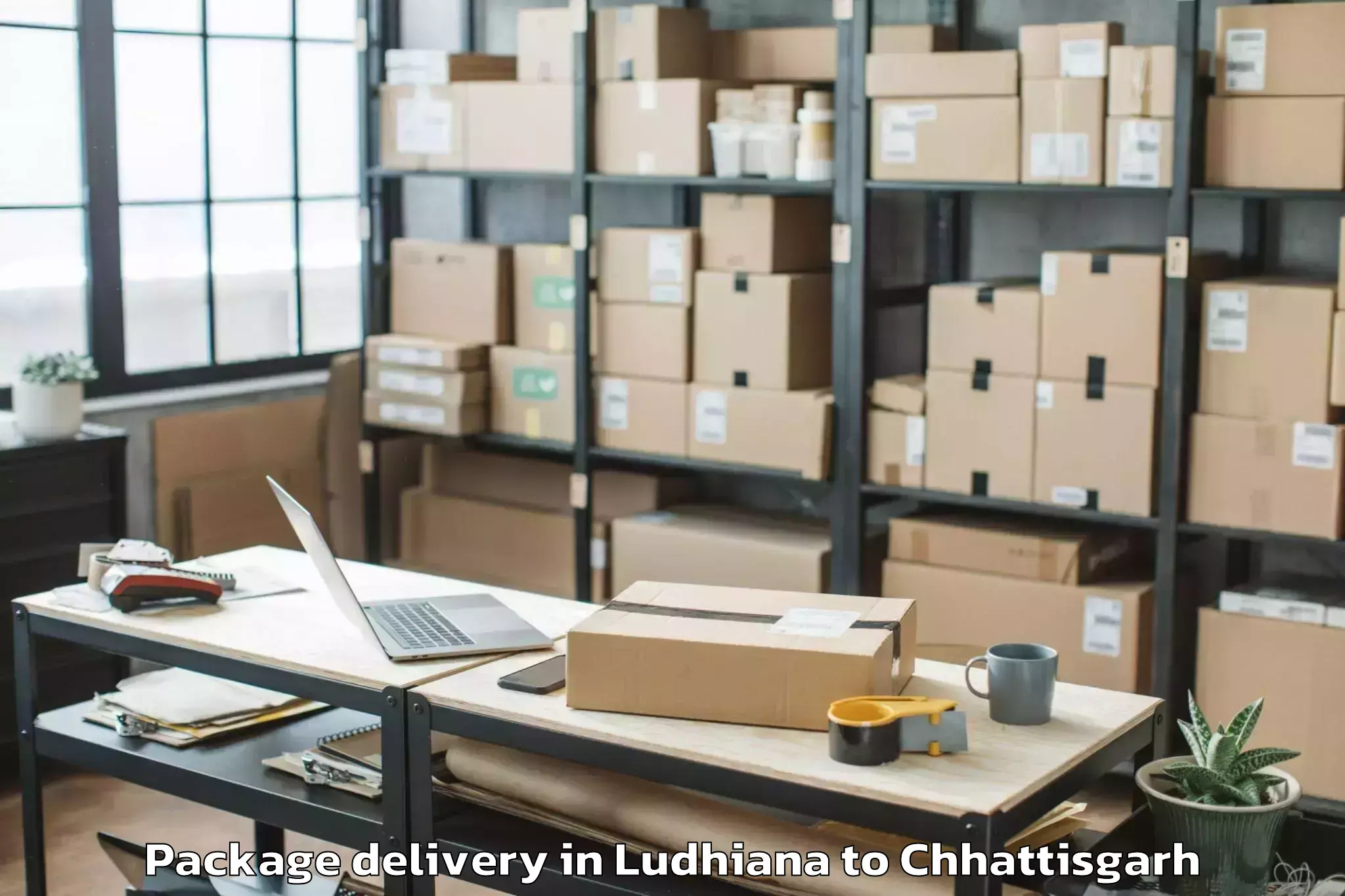 Trusted Ludhiana to Abhilashi University Raipur Package Delivery